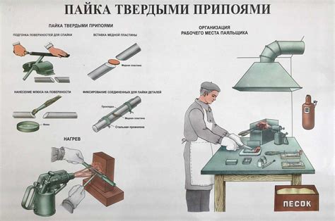 Особенности обработки и хранения жала ската