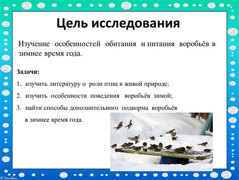 Особенности питания ахатин в зимнее время года