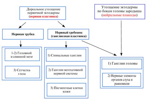 Особенности плитки, которые влияют на надежность присосок