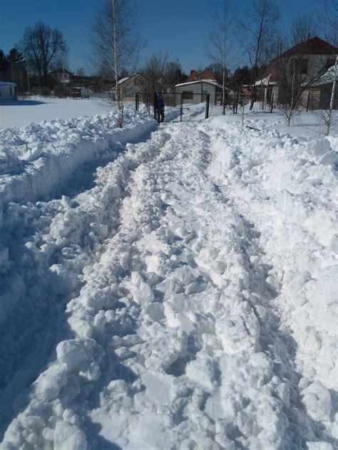 Особенности полива мяты в зимнее время года