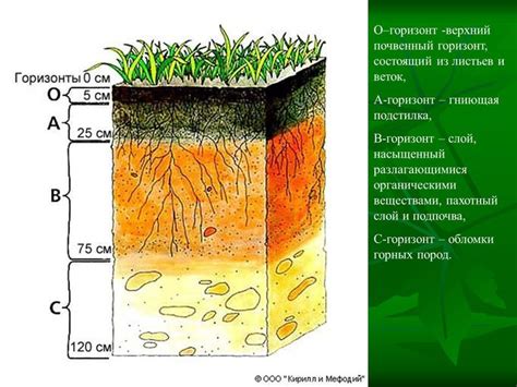 Особенности почвы и грунта