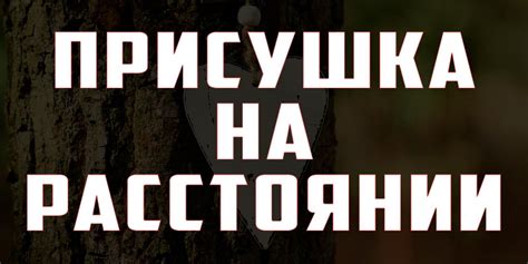 Особенности присушки