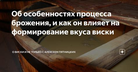 Особенности процесса брожения и выдержки