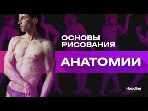 Особенности рисования анатомии Айнц Оул Гоун