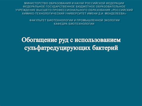 Особенности ухода за септиком с использованием рабочих бактерий