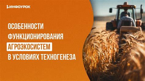 Особенности функционирования: