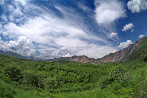 Особо охраняемые природные территории