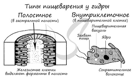 Остатки удаляются