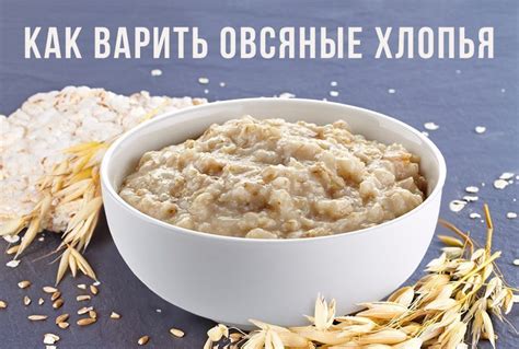 Отварные овсяные хлопья с ягодами: быстро и вкусно