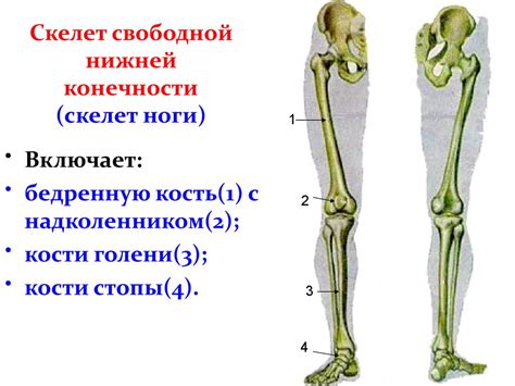 Отделка персонажа: руки и ноги