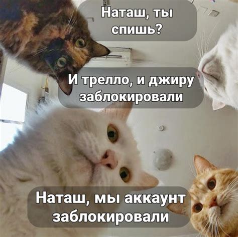 Отключение аккаунтов