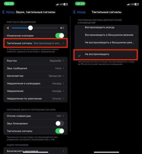 Отключение вибрации в конкретном приложении iPhone: 12 Pro Max