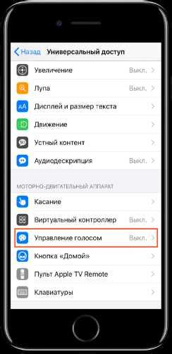 Отключение управления голосом на iPhone 11: почему это нужно