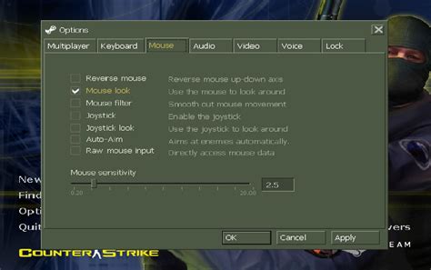 Отключение raw mouse input в Counter-Strike 1.6