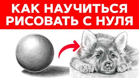 Открытие таланта: как научиться рисовать с нуля