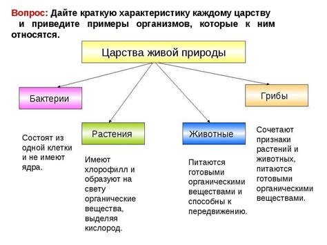 Отличительные признаки кочана