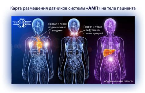 Отличия в функциональности и возможностях