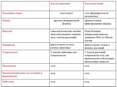 Отличия и сравнение: