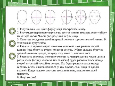 Отметьте верхнюю границу головы