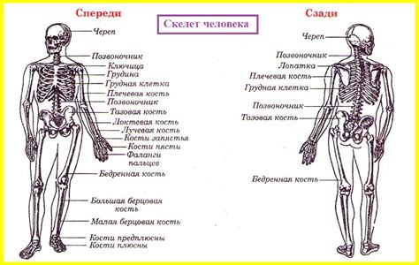 Отметьте человека в описании публикации