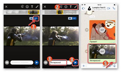 Отправка и использование гифки через WhatsApp