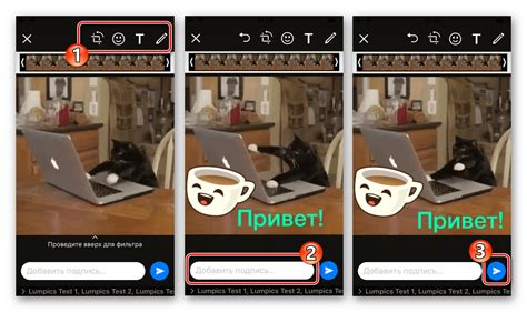 Отправка и использование GIF в WhatsApp