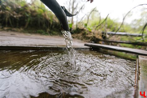 Отражение родниковой воды во сне: тайное значение сновидения