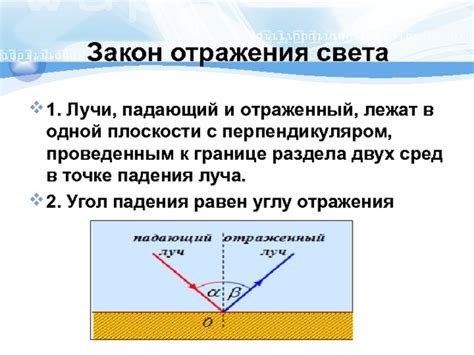 Отражение света на корнях