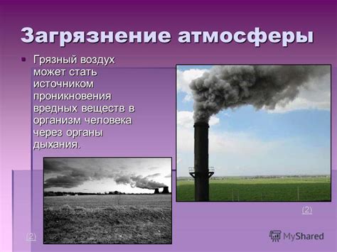 Отрицательное влияние окружающей среды на органы дыхания и организм в целом