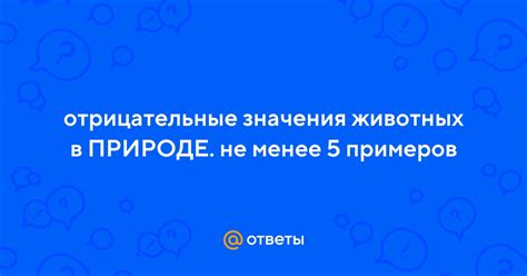 Отрицательные значения сна о укусе свиньи