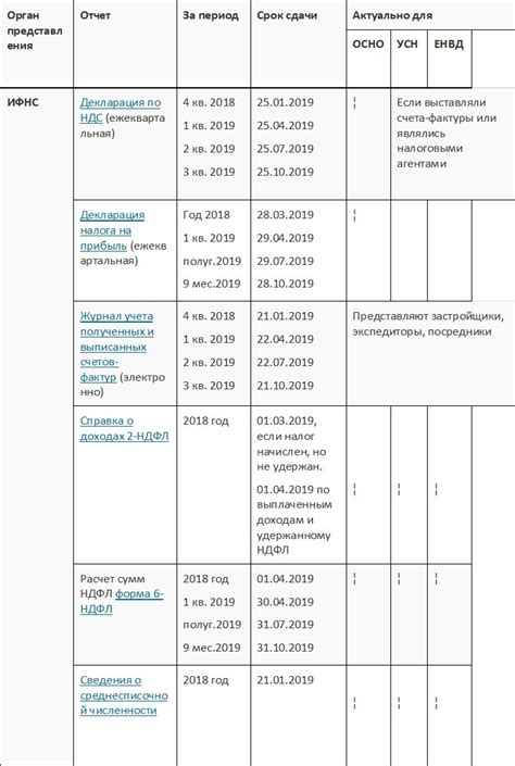 Отчетность и сдача налоговой декларации