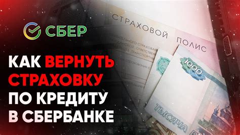 Оформление мира пей в Сбербанке: инструкция и особенности