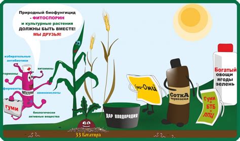 Оцените масштаб проблемы: удар по урожаю и растениям