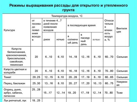 Оцените освещение и температурный режим