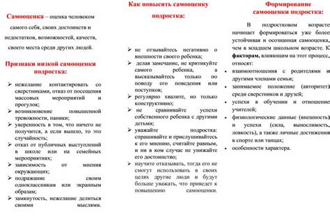 Оценка достоинств и недостатков