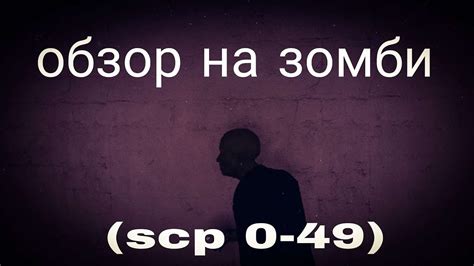 Оценка потребностей SCP 106