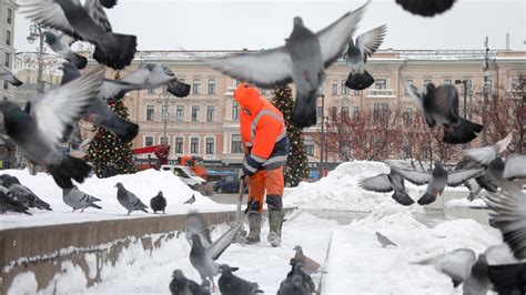 Очередные Оттепели в Москве