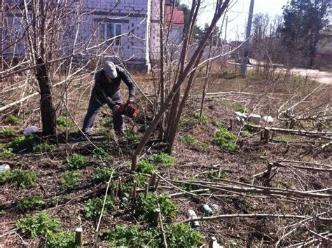 Очистка места под укладку от растительности и мусора