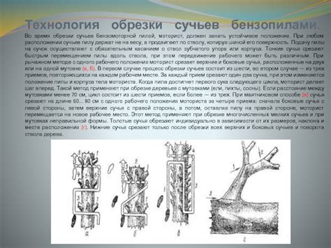 Очистка от коры и сучьев