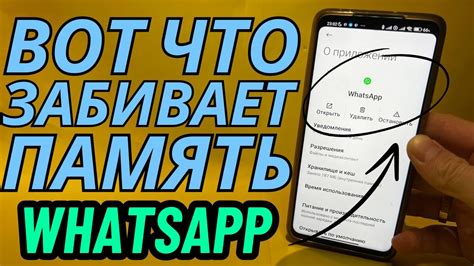 Очистка памяти WhatsApp на iPhone