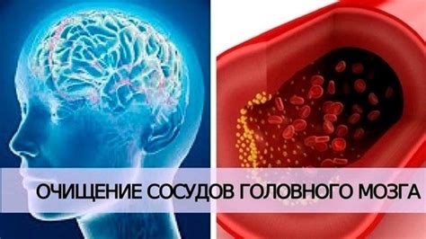 Очистка утят от внутренних органов