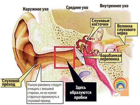 Очищение ушей при гноении