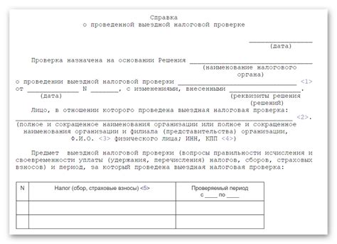 Ошибки в акте налоговой проверки: последствия и исправление