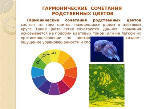 Ощущение гармонии и уравновешенности