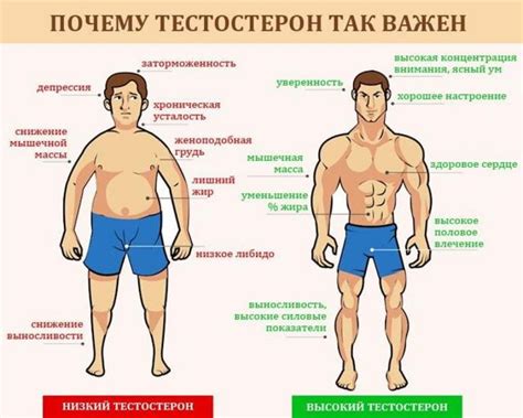 Параметры оружия: как понять, что важно