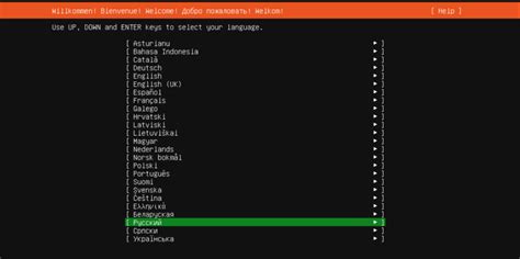 Параметры установки Ubuntu Server и выбор языка