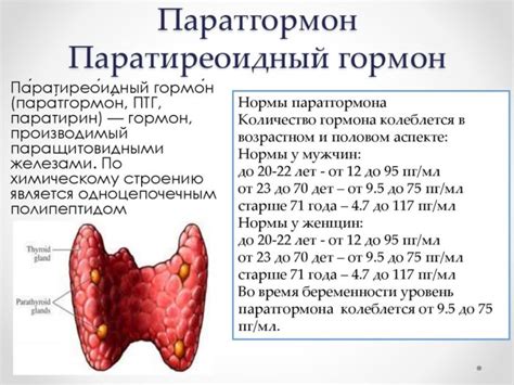 Паратиреоидный гормон и женское репродуктивное здоровье