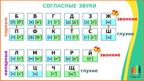 Парные глухие и звонкие согласные