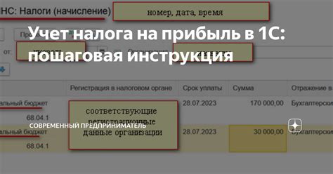 Паспорта отходов в 1С: пошаговая инструкция