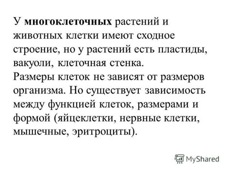 Патологии, связанные с нарушением синтеза интерлейкинов в коже